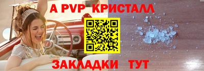 прущие грибы Канаш