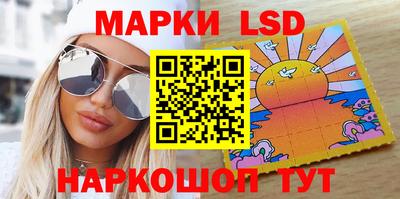 гидропоника Камышлов