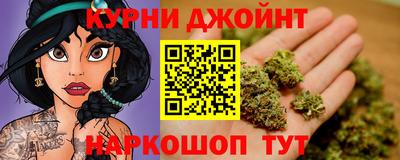 гидропоника Камышлов