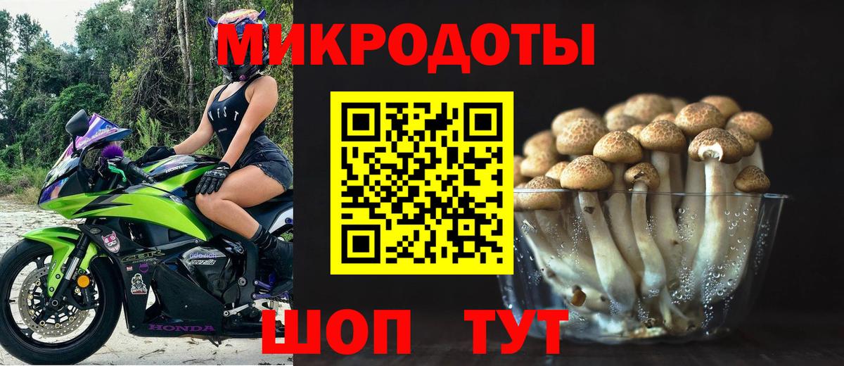 Псилоцибиновые грибы ЛСД Краснодар