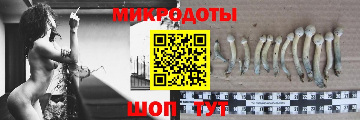 Краснодар  Псилоцибиновые грибы Psilocybe  Галлюциногенные грибы Psilocybe  Вход с VPN 